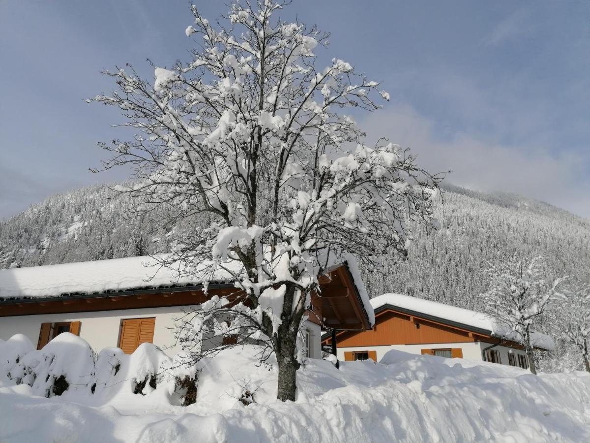 Bergaufe Chalets Mallnitz " Cards Inclusive" Exterior foto