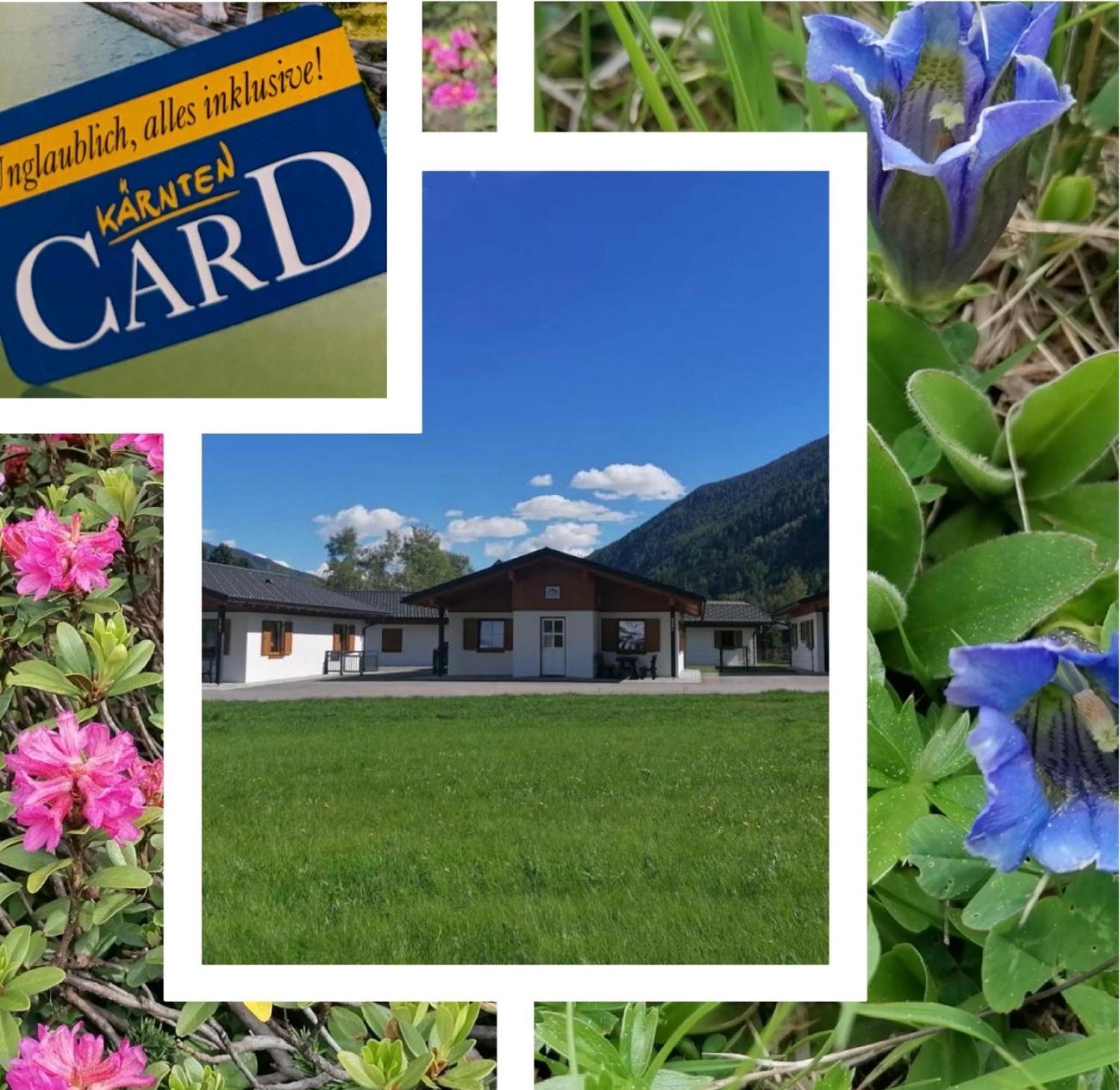 Bergaufe Chalets Mallnitz " Cards Inclusive" Exterior foto